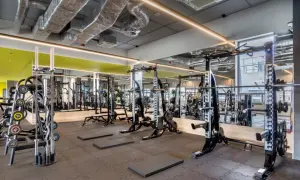 My Fitness Place Galeria Kazimierz: Siłownia, Cennik, Grafik | Kraków